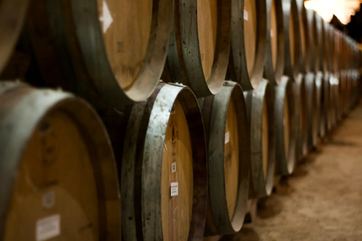 The ends of oak barrels stacked in a long receding row