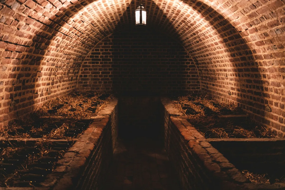 A vaulted brick cellar tunnel lit by hanging lamps