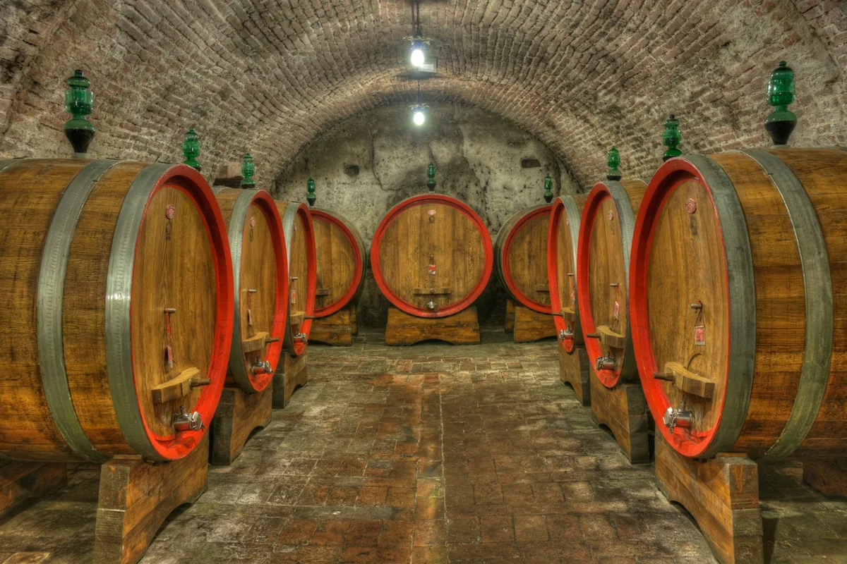 A row of large wooden barrels in a vaulted cellar