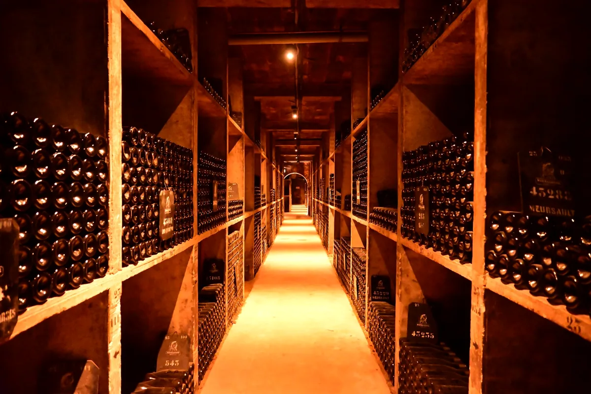 A long narrow cellar lined with bottles