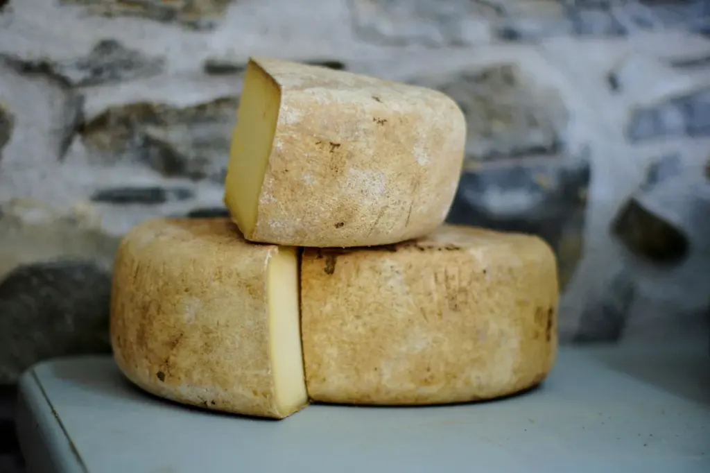 Two cut wheels of pale hard cheese with natural rinds stacked against a stone wall