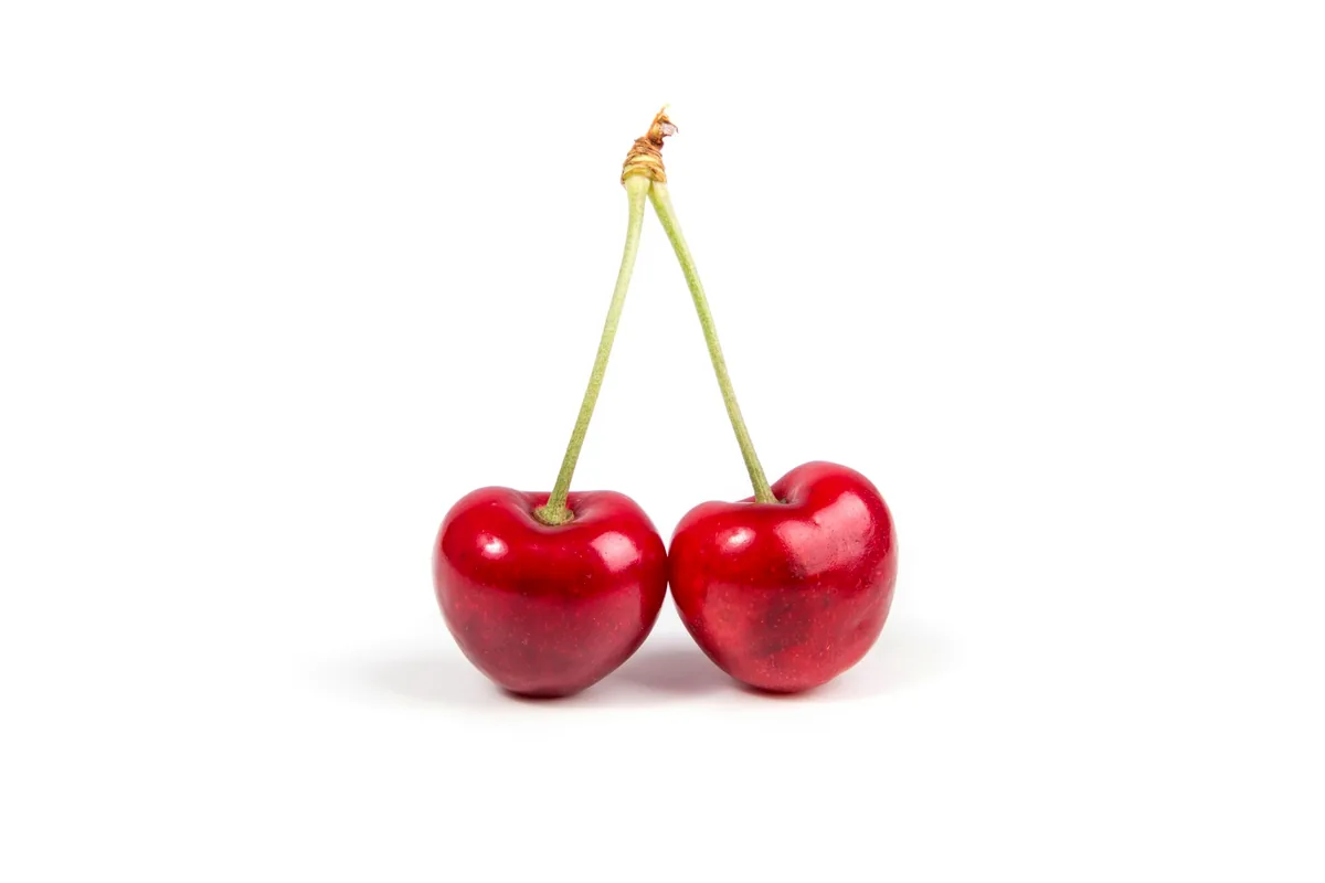Two ripe red cherries joined at the stem on a white background