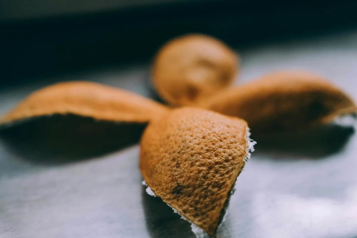 Pieces of dried orange peel