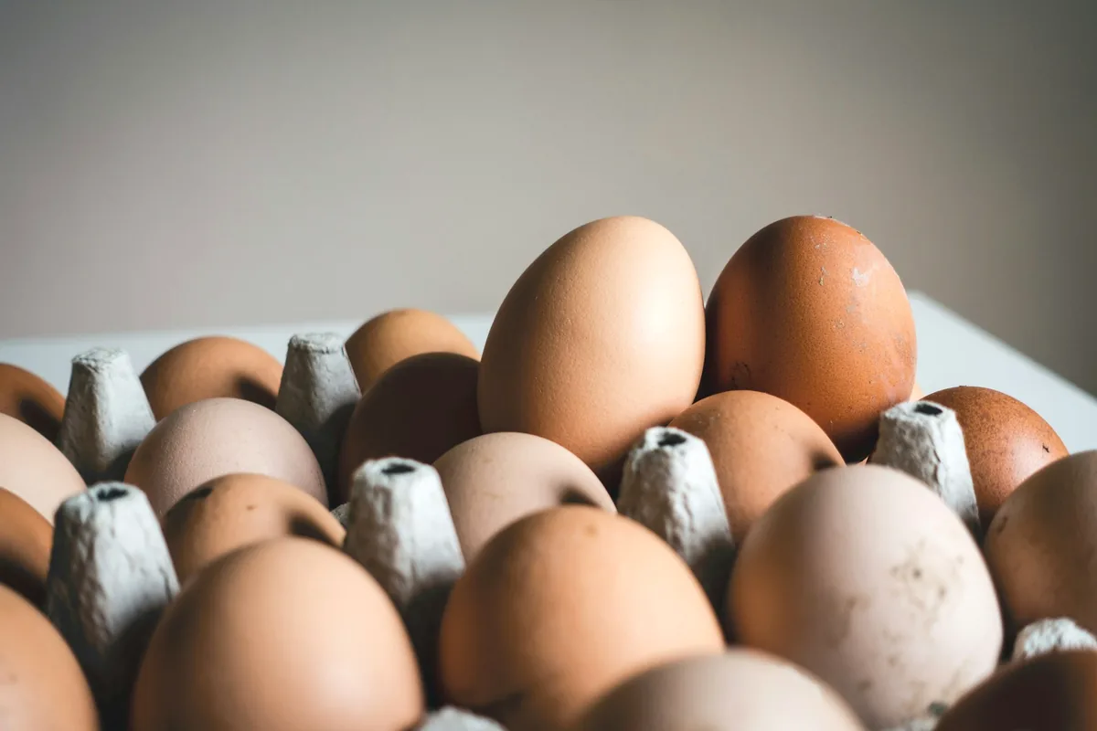 Brown eggs in an open cardboard carton