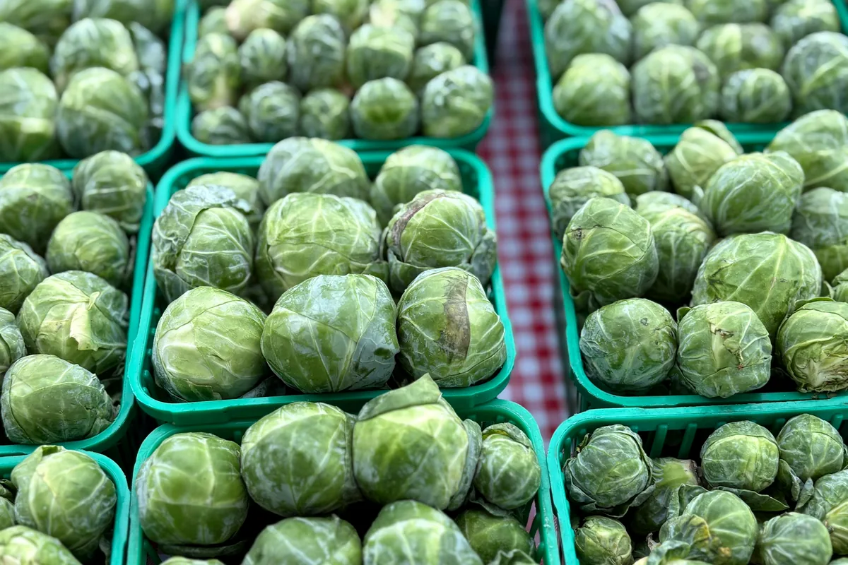 Green punnets of Brussels sprouts stacked at a market stall