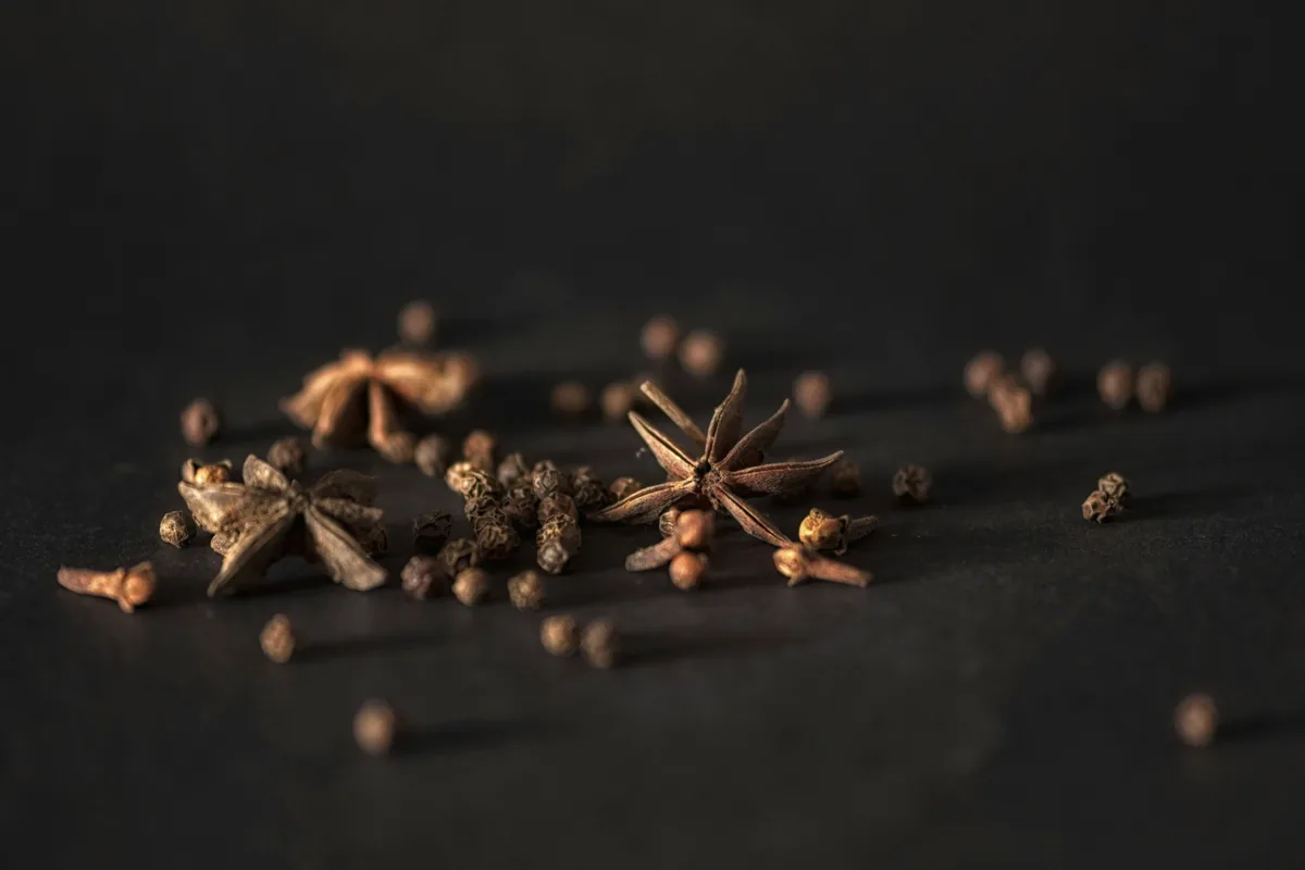 Star anise, cloves and peppercorns scattered on a dark surface
